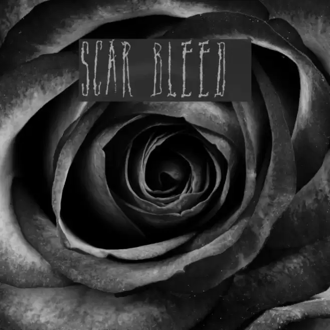 Scar Bleed Font examples