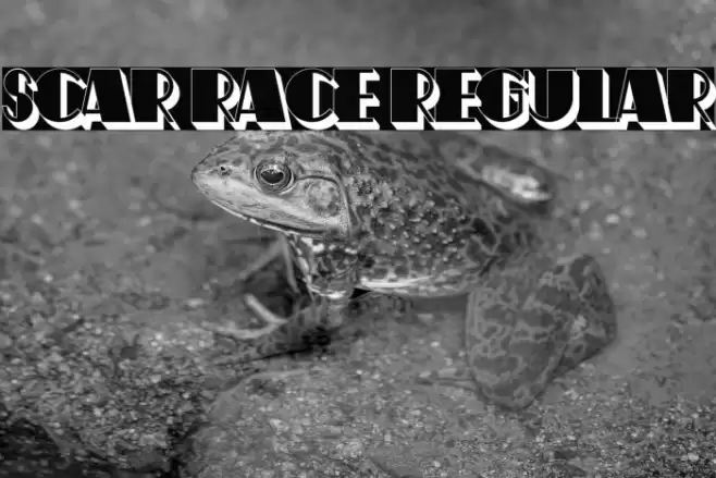 Scar Race Regular Font examples