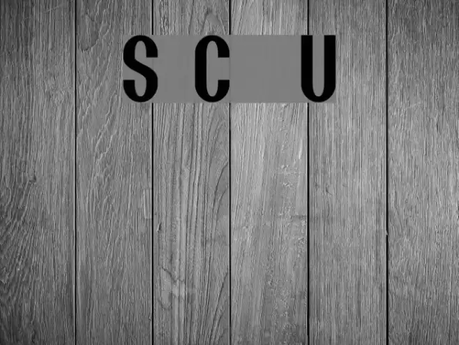 Scara Conquers the Universe Font examples