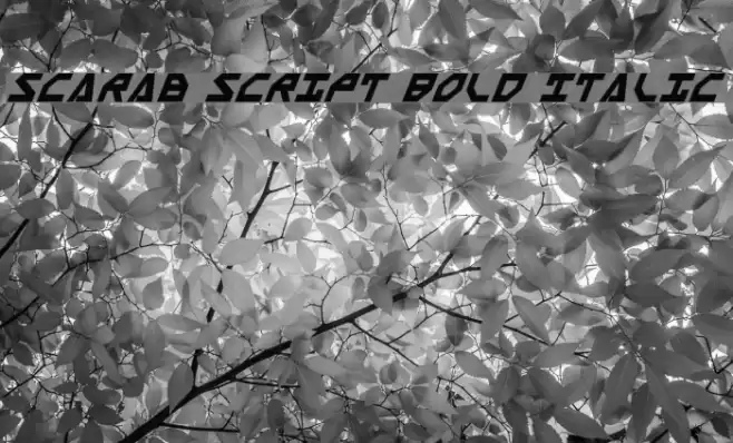 Scarab Script Bold Italic Font examples