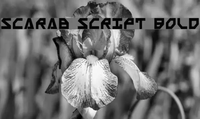 Scarab Script Bold Font examples