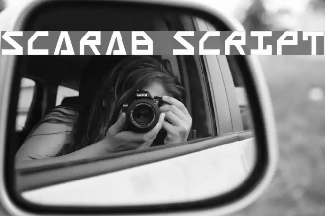 Scarab Script Polices examples