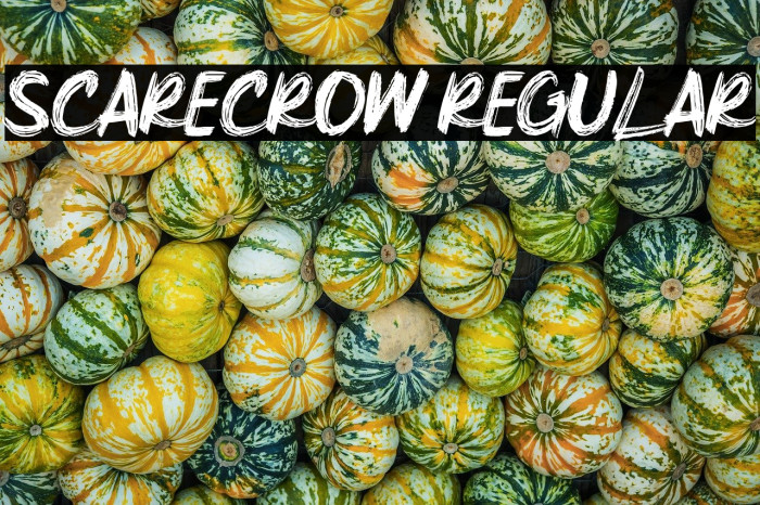 Scarecrow Regular Example 2