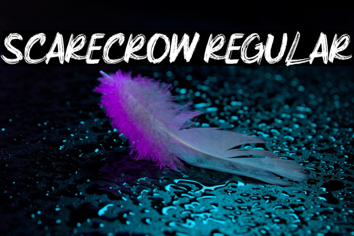 Scarecrow Regular Example 3