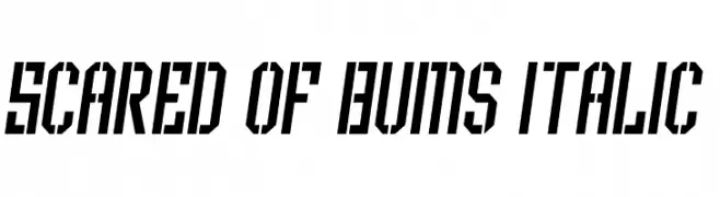 Scared of Bums Italic  Frei Schriftart Herunterladen