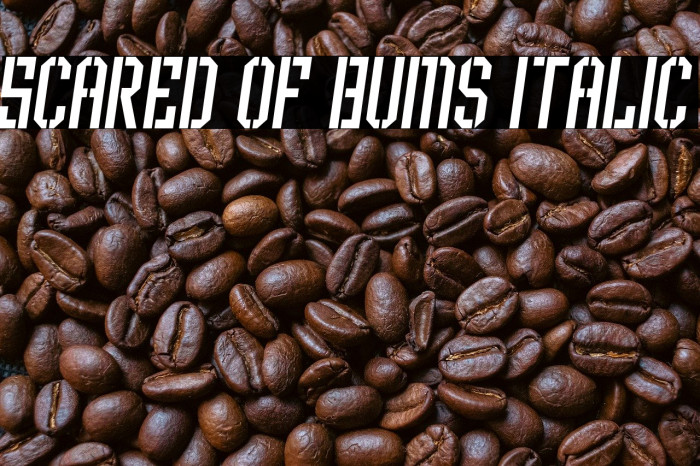 Scared of Bums Italic Example 1