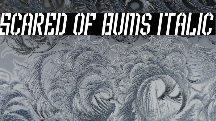 Scared of Bums Italic Example 3