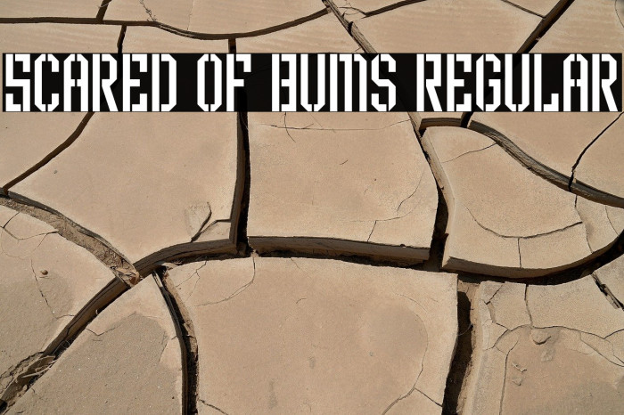 Scared of Bums Regular Example 3