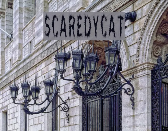 ScaredyCat Example 1