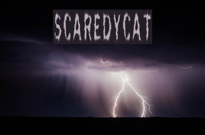 ScaredyCat Font examples