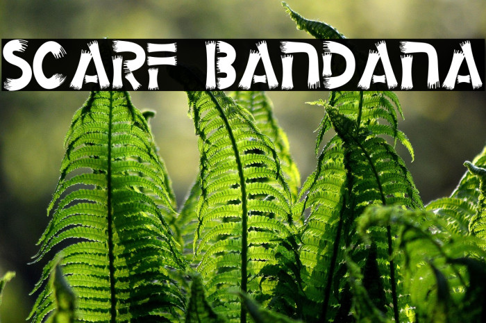 Scarf Bandana Example 1