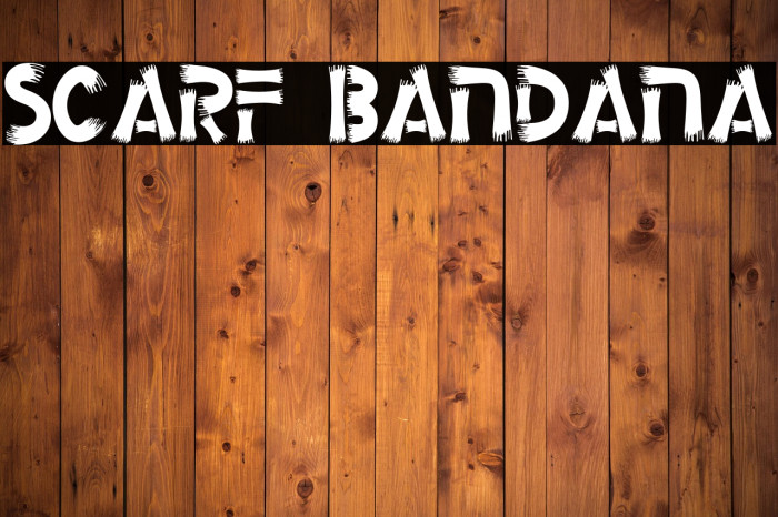 Scarf Bandana Example 2