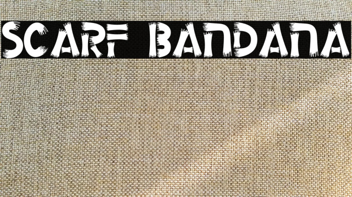 Scarf Bandana Example 3