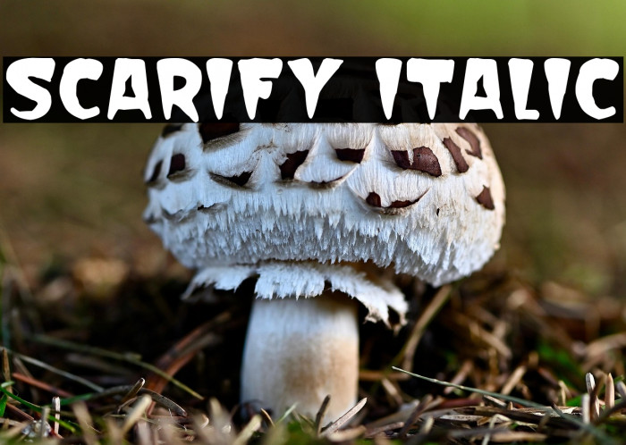 Scarify Italic Example 1