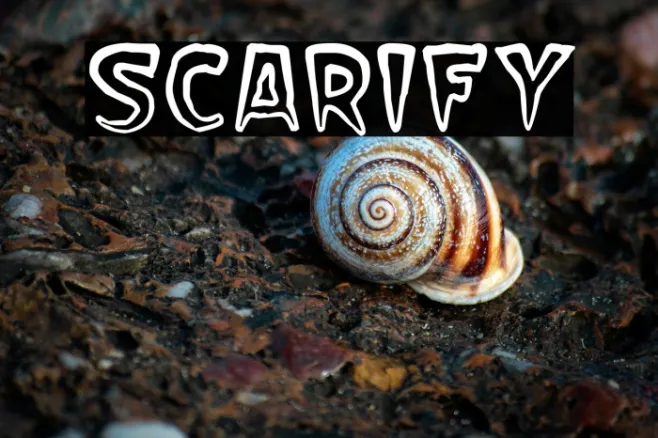 Scarify Example 2