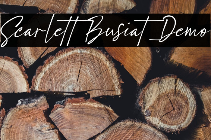 Scarlett Busiat_Demo Example 1