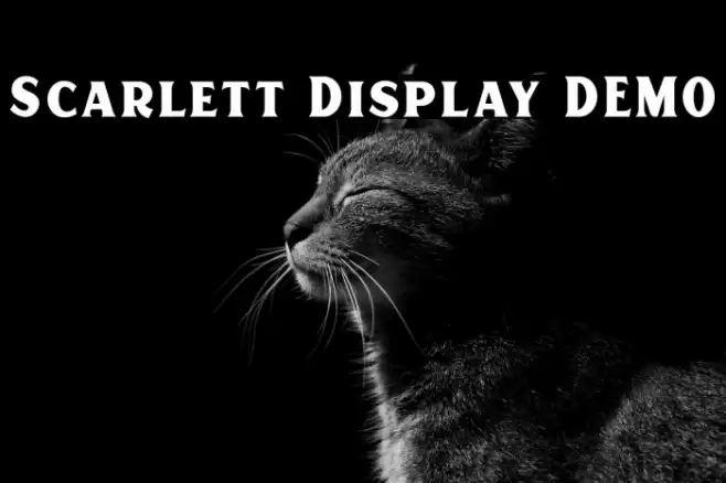 Scarlett Display DEMO Schriftart examples