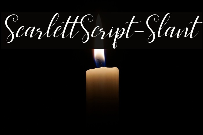 ScarlettScript-Slant Schriftart examples