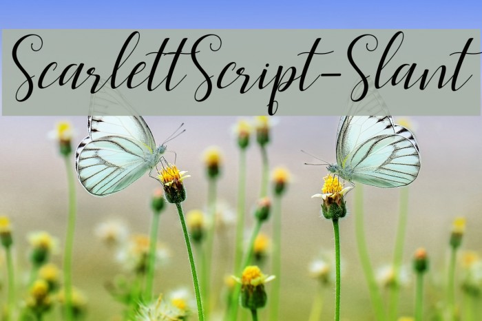 ScarlettScript-Slant Schriftart examples