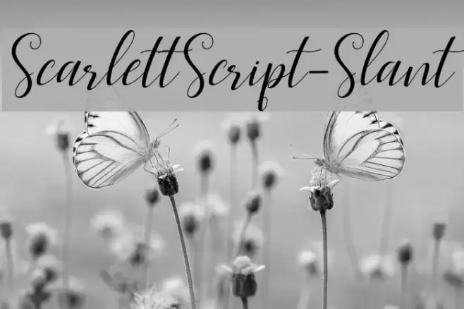 ScarlettScript-Slant Schriftart examples