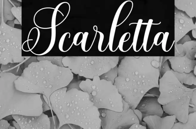 Scarletta Font examples