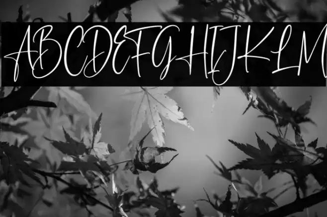 Scarlette Font examples