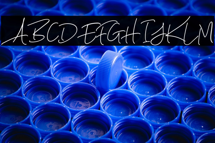 ScarletteDEMO Example 3