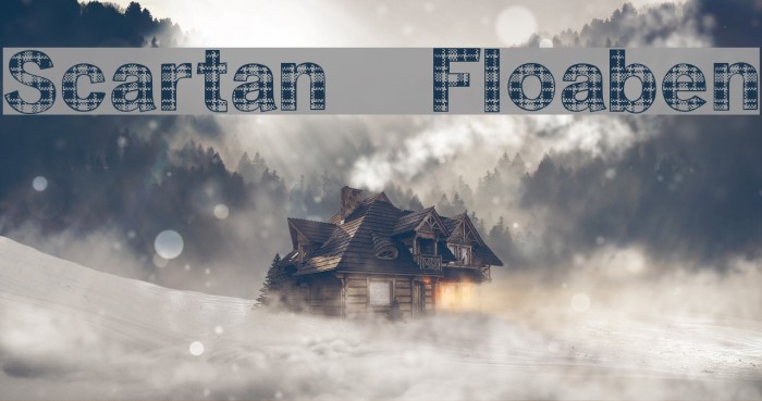 Scartan  Floaben Example 3