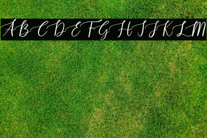 Scary Ghost Script Example 3