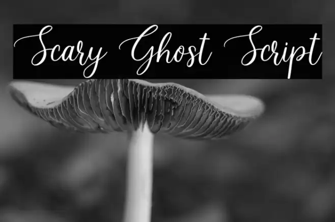 Scary Ghost Script Font examples