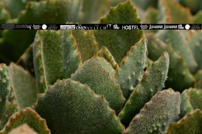 Scary Movie Gallery Example 2