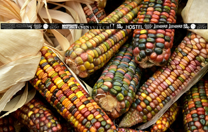 Scary Movie Gallery Example 3