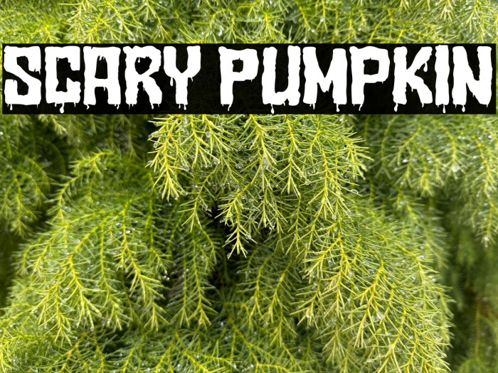 Scary Pumpkin Example 2