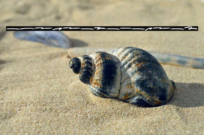 Scary SignS wash Example 3