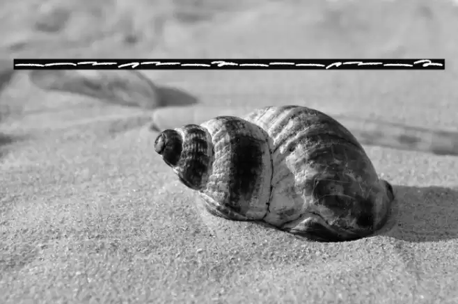 Scary SignS wash Font examples