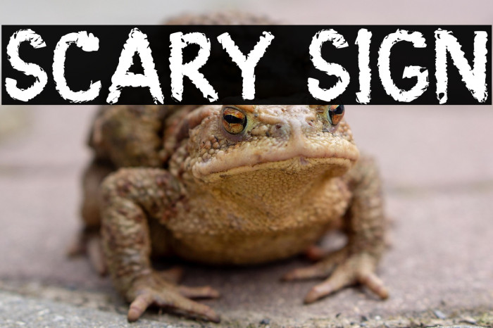 Scary Sign Example 2