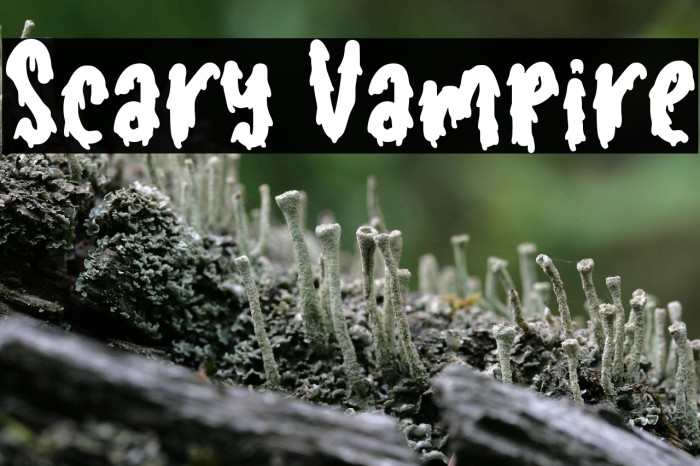 Scary Vampire Example 1
