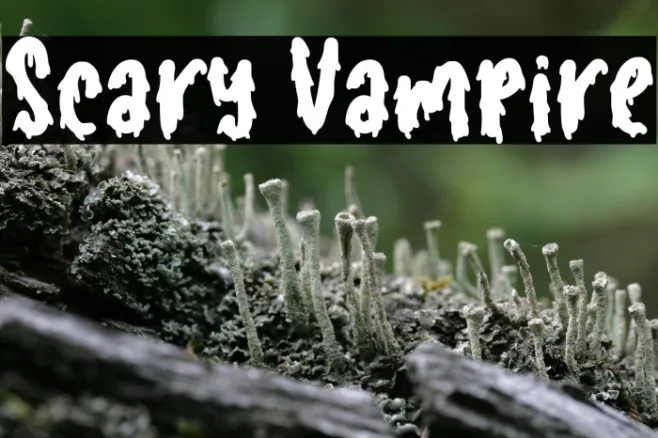 Scary Vampire Example 1