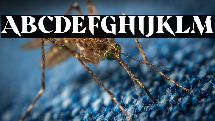 ScaryThingsDEMO Example 1