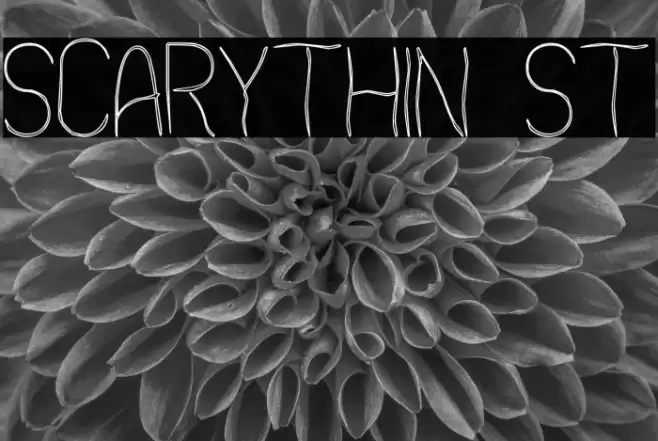 Scarythin St फ़ॉन्ट examples