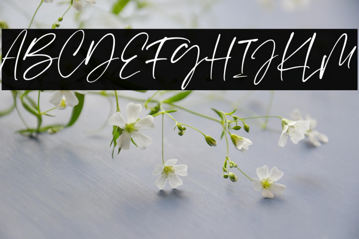 Scatter Ink Example 2