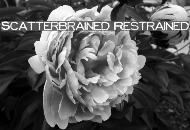 Scatterbrained Restrained Fonte examples