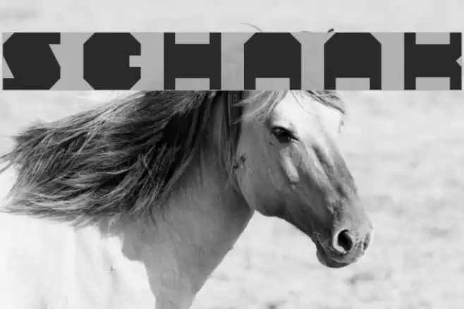 Schaak Font examples