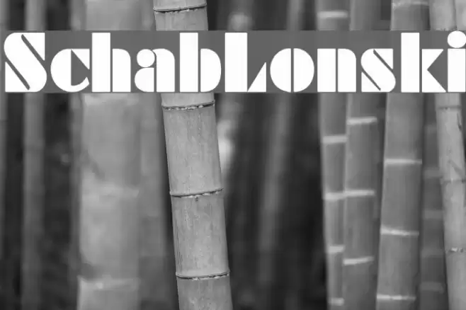 SchabLonski Font examples