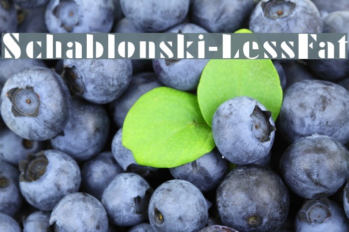 Schablonski-LessFat Шрифта examples