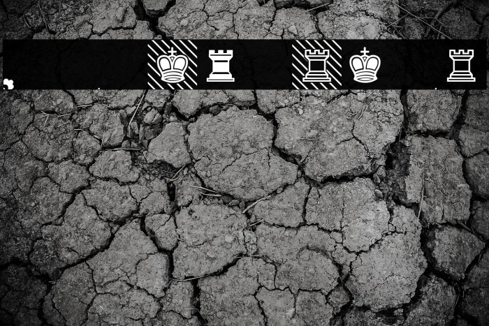 Schach Light Regular Example 2