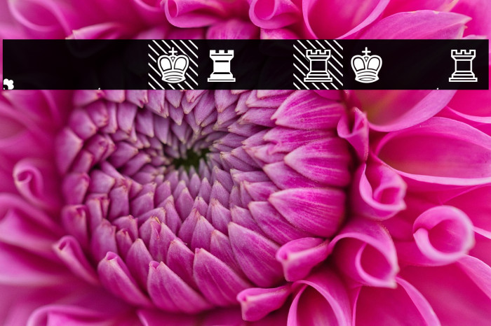 Schach Light Regular Example 3