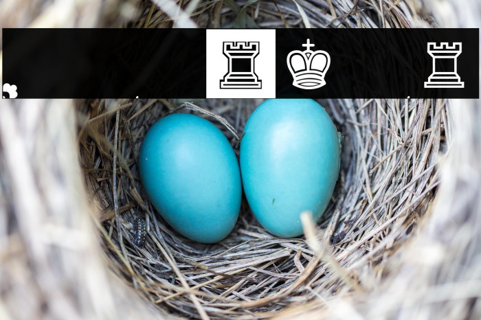 Schach Regular Example 2