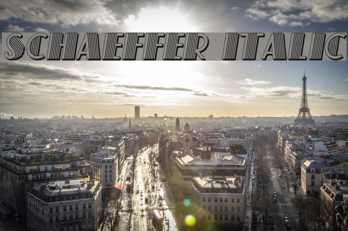 Schaeffer Italic Font examples