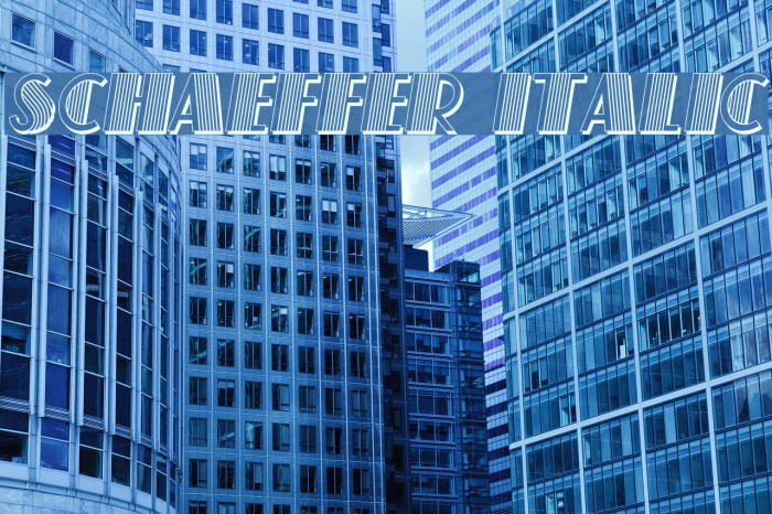 Schaeffer Italic Font examples
